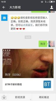 娱乐吃瓜摄影师百度云资源,独家百度云资源大揭秘