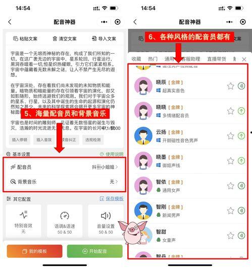 娱乐吃瓜视频的配音软件,揭秘热门娱乐吃瓜视频背后的配音神器